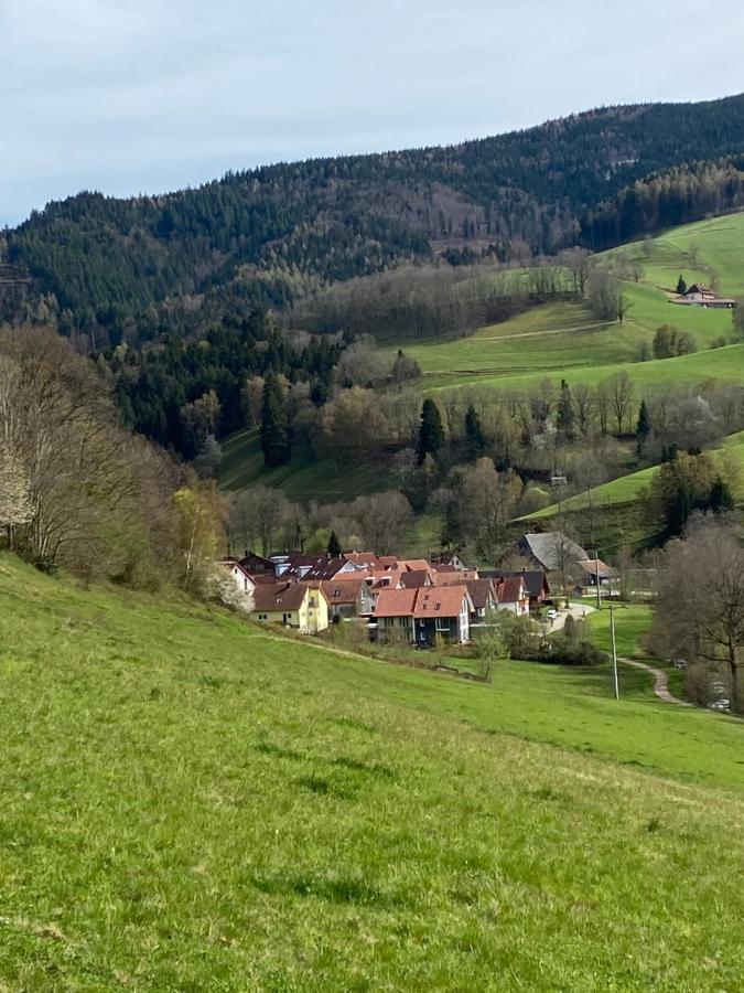 Schwarzwaldglueck Apartment Oberried  Zewnętrze zdjęcie