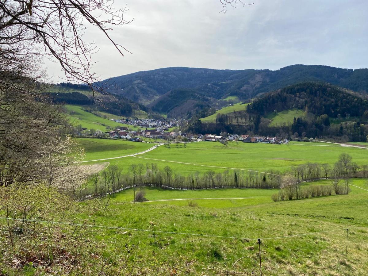 Schwarzwaldglueck Apartment Oberried  Zewnętrze zdjęcie